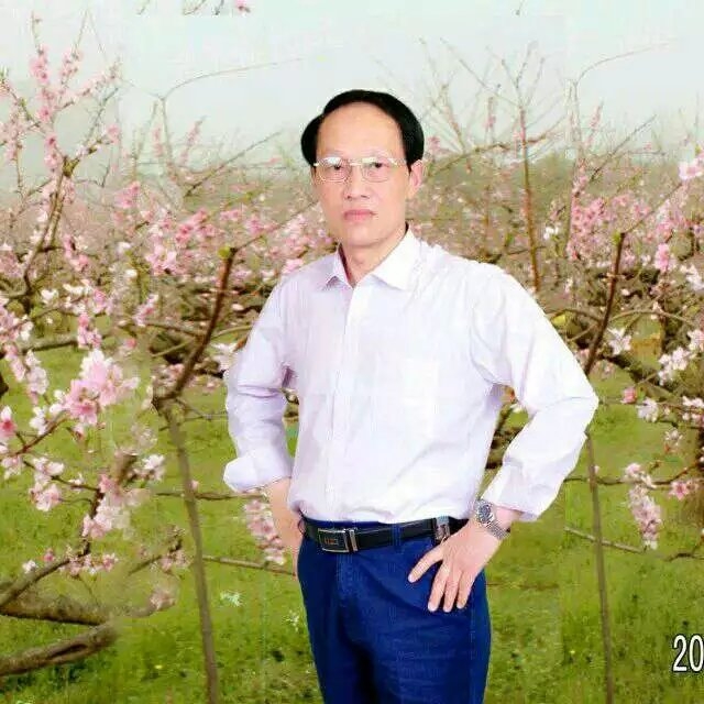 枫叶的第一张照片--金华相亲服务中心